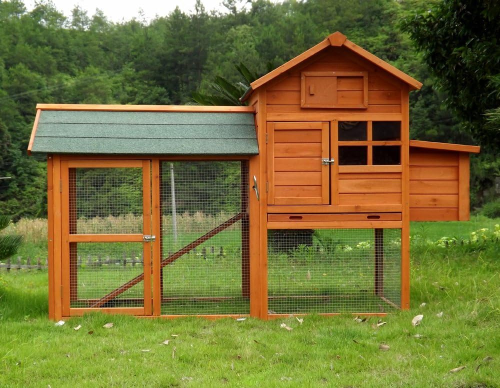 Chicken Coop Chicken Coop No. 06 "Collosus with fence, pull-out bath & storage box - QUORE