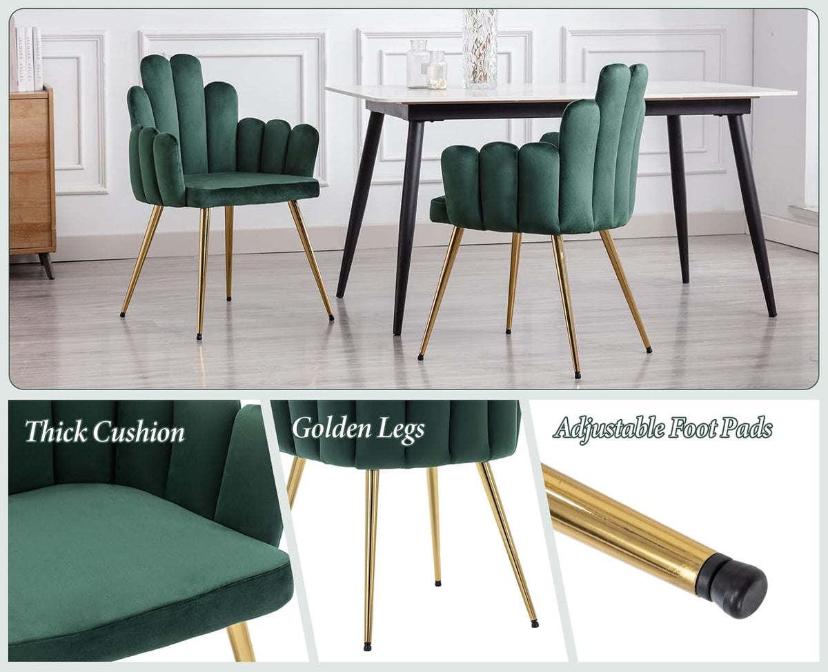 chairus Set of 2 Velvet Dining Chairs Kitchen Upholstered Seat Recliner Bedroom Living Room Accent Chair with Metal Legs (Green) - QUORE
