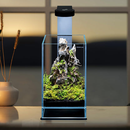 Terrarium van extra helder glas met geïntegreerde led, elegant design voor natuurlijke ecosystemen en watertuinen, afmetingen 15 x 15 x 25 cm (h x b x h)