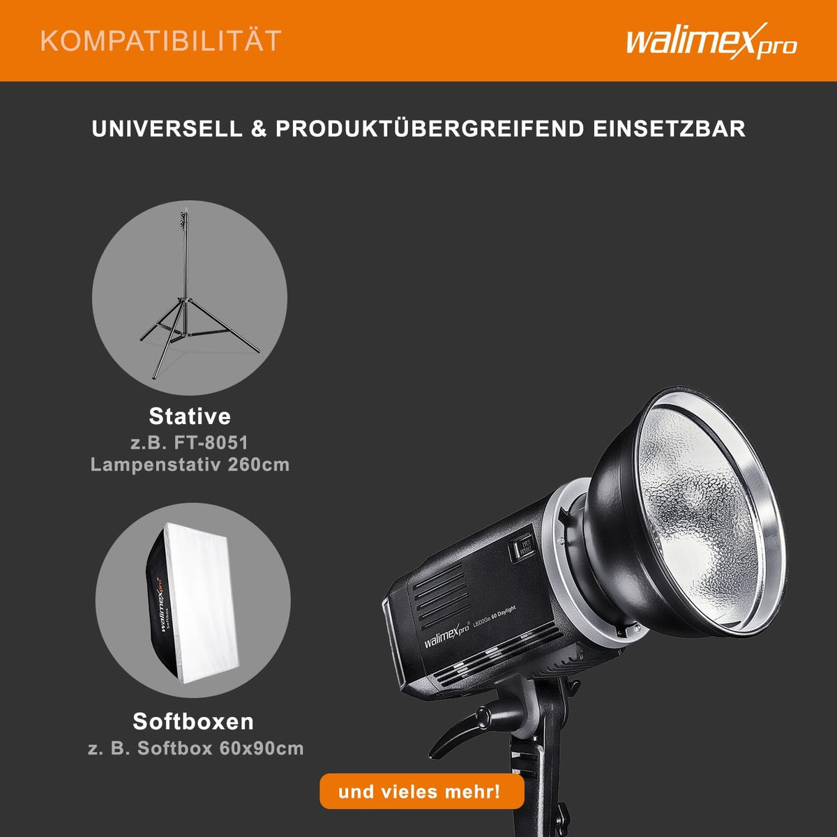 Walimex Pro LED2Go 60 Daylight