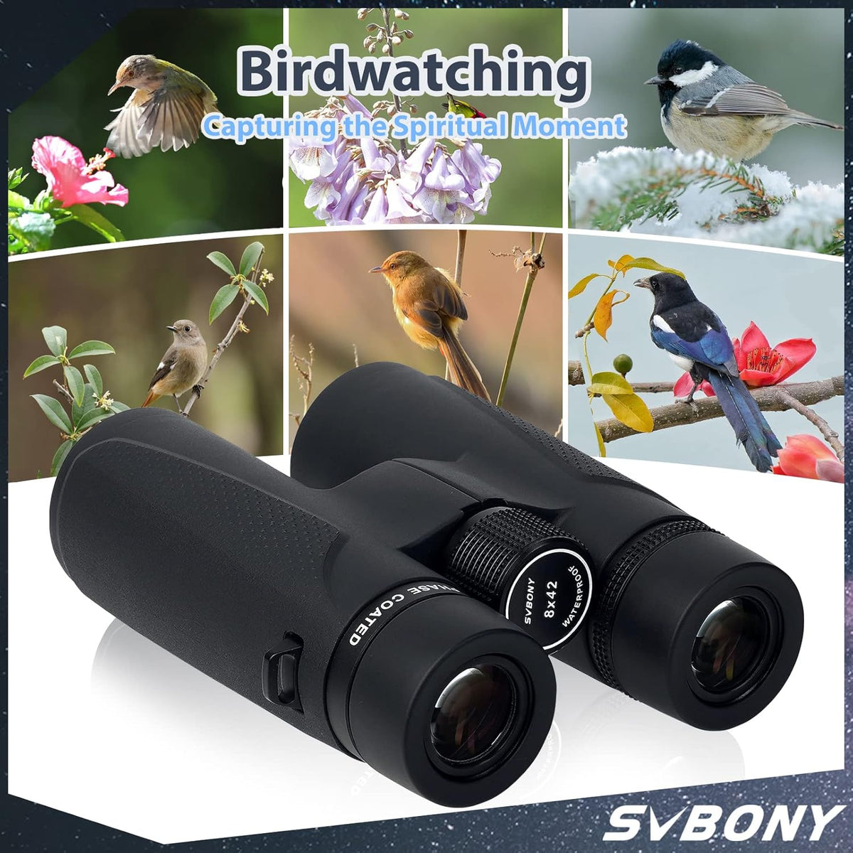 Svbony SV202 ED verrekijker voor Adaults 8x42, High Power Bak4 FMC Compacte Verrekijker, Lichtgewicht voor Vogels kijken, Doelen