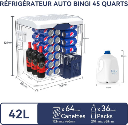 BINGI Compressor Koelbox, 42 Liter Draagbare Auto Koelkast, 12/24 V DC en 230 V AC, Mini-koelkast Voor Auto, Vrachtwagen, Camping, Camper en Thuis
