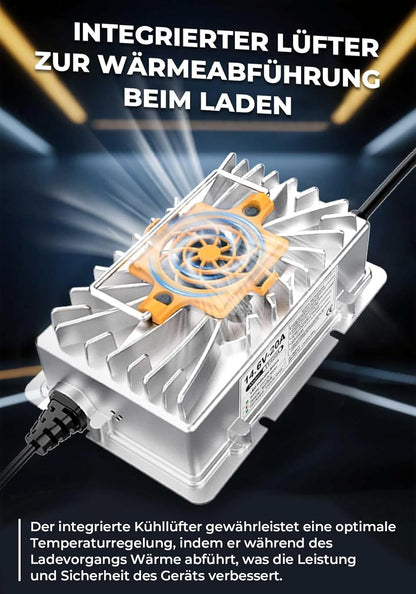 14.6V 20A LiFePO4 Lithiumbatterijlader Acculader voor 12V (12.8V) LiFePO4 Lithiumbatterijen, 12V Lithium-ijzerfosfaat-acculader voor Campers, Boten, Auto's, schepen en Zonne-energie