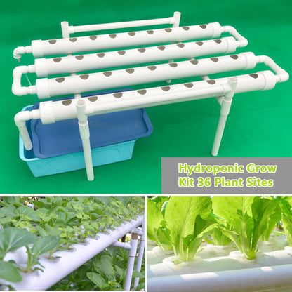 Hydroponische Kweekset – Hydrocultuur Bak – Plantenkweekset – Kruidenkweekbak – Groentekweker – 36 Gaten – Zonder Elektriciteit – PE Materiaal – Transparant Design