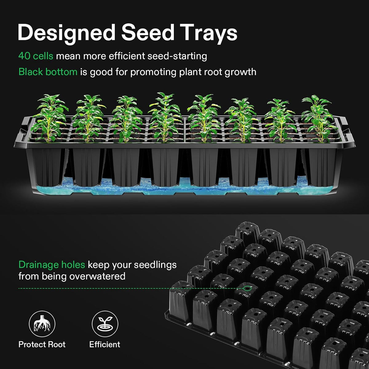 VIVOSUN 1 Pack 40-Cell Seed Starter Trays with 1 Set LED Lights and 10"x20.7" Seedling Heat Mat, 3.6 Inch Higher Coverage, Adjustable Vents, Drainage Holes, Green Grow Tray for It - QUORE