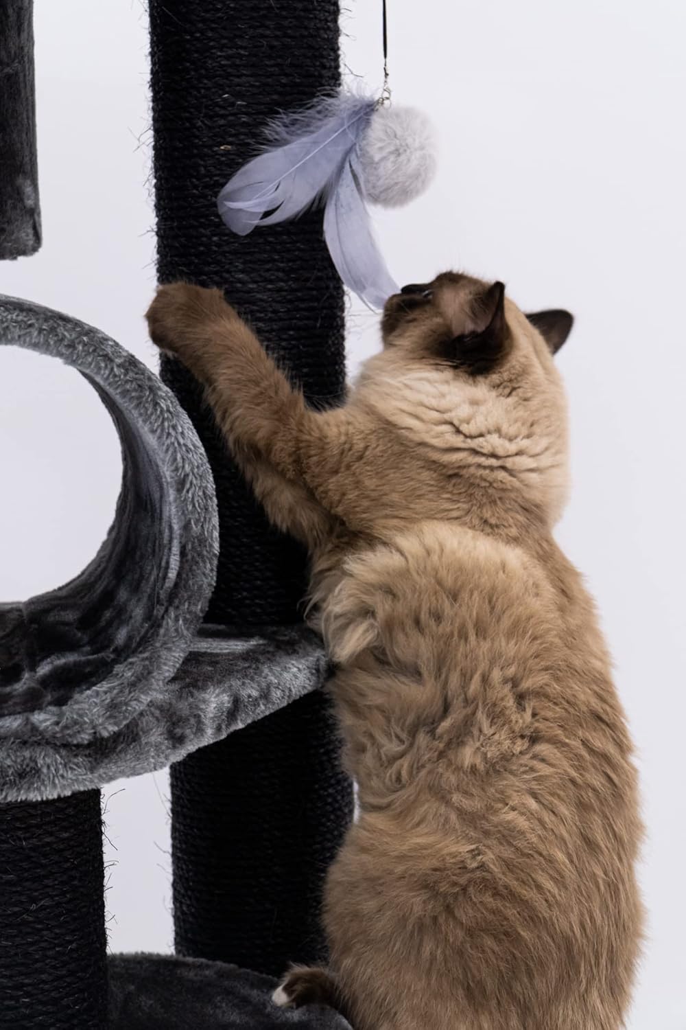 Krabpaal – Krabmeubel – Kattenpaal – Klimpaal – Zwart – Stevige Basis – Dikke Sisalstammen 12 cm
