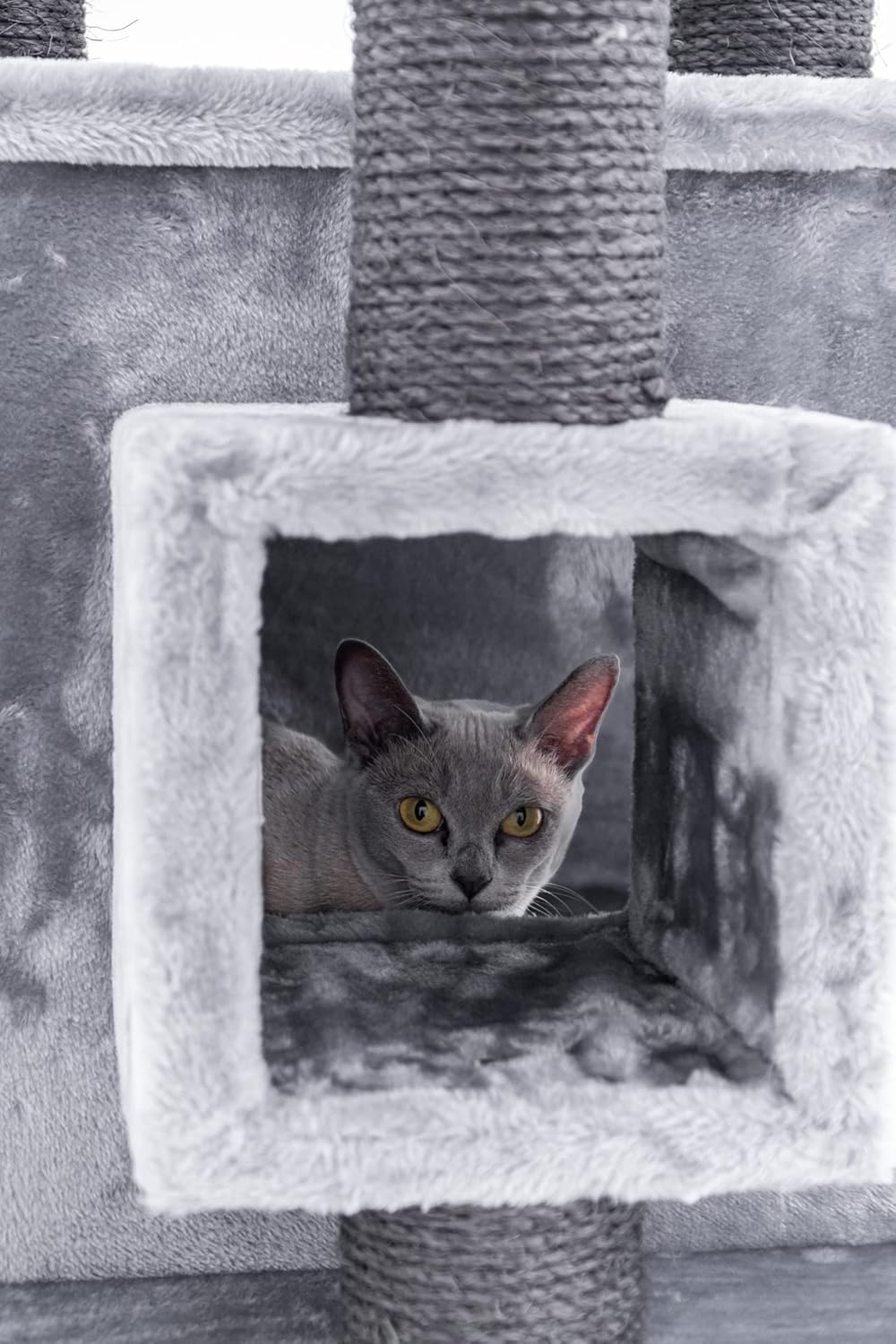 Kattenkrabpaal – Krabpaal – Krabboom – Kattenmeubel – Krabmeubel – Grijs – 134 cm Hoog – Dikke Ø 9 cm Sisalstammen