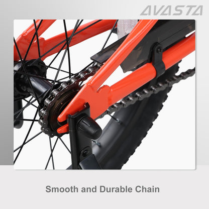 AVASTA 20 inch fiets BAG1006YS20or
