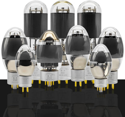 Vacuümbuizen – Versterkerbuizen – HiFi Buizen – Audio Buizen – Triodes – 1 Paar – Warm En Vol Geluid – 125 Watt Anodedissipatie