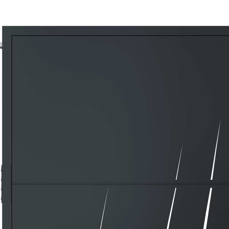 Tuinpoort – Toegangspoort – Sierpoort – Hek – Poortpaneel – Antraciet Staal – Grass Design – Weerbestendig – 105x205 cm