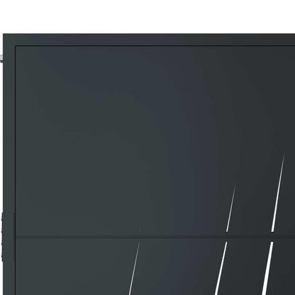 Tuinpoort – Toegangspoort – Sierpoort – Hek – Poortpaneel – Antraciet Staal – Grass Design – Weerbestendig – 105x205 cm