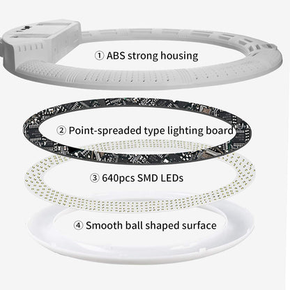 22 inch 100W LED ringlamp licht kits:handtas,statiefstandaard,infrarood afstandsbediening en 3 bases van de telefoon beugel,voor make-up portret Selfie YouTube verlichting (zwarte kleur)