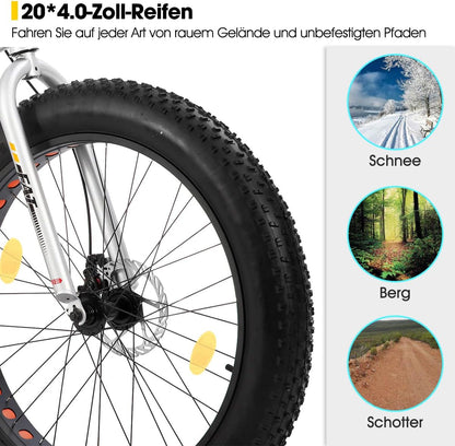 HILAND 20 inch kindermountainbike, 7 versnellingen, Fat Tires mountainbike, dubbele schijfremmen, kinderfiets voor jongens en meisjes, zilver
