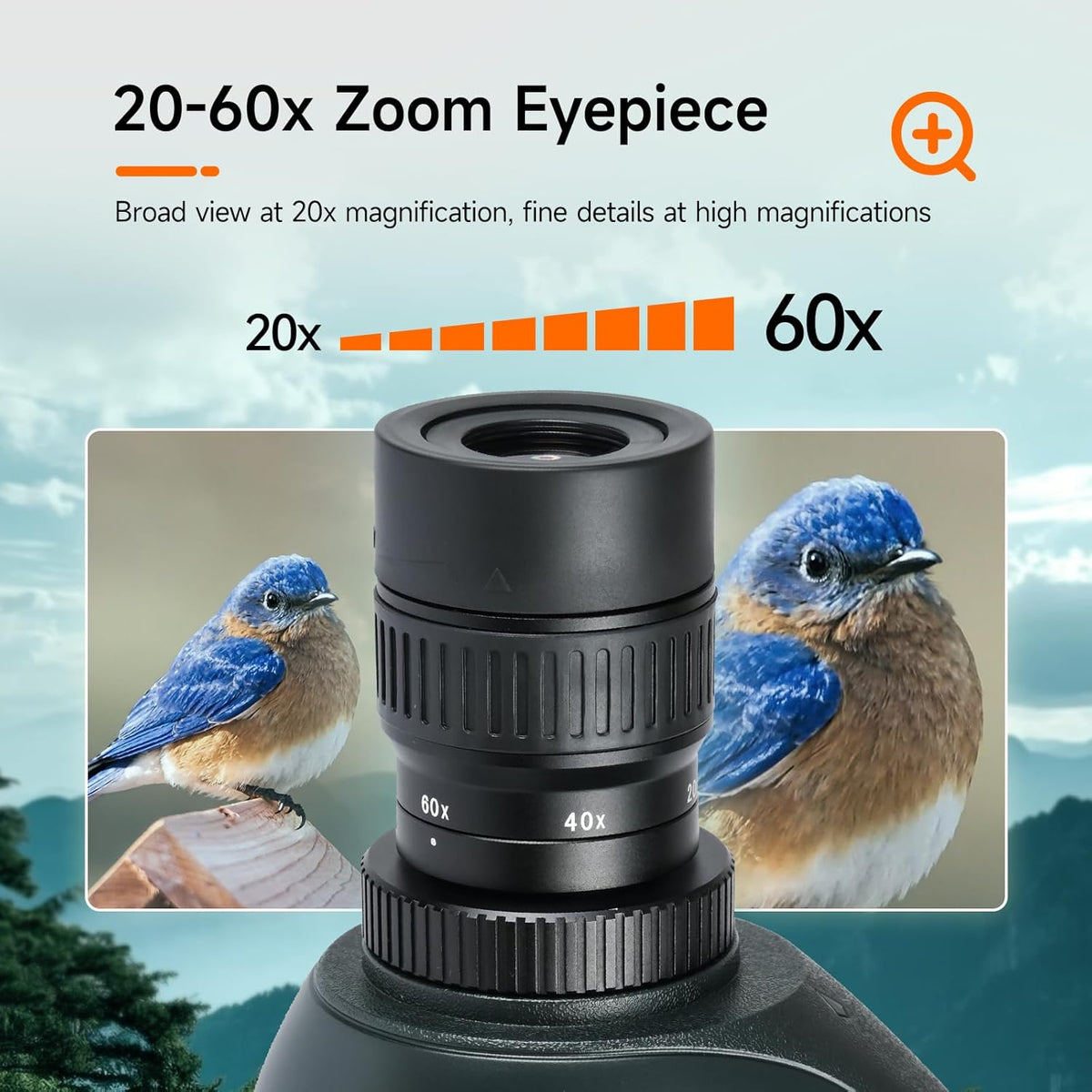 Svbony SV406 20-60x80mm Spotting Scope, HD FMC BAK4, Double Focus, 1.25'' Removable Eyepiece, IPX7 Waterproof, with Tripod, Carrying Bag, for Bird Watching, Wildlife, Landscape - QUORE
