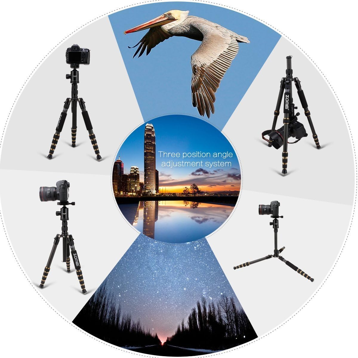 ZOMEi Camerastatief Z669C 151 cm met kogelkop van koolstofvezel carbon, professioneel lichtgewicht statief, reisstatief, monopod