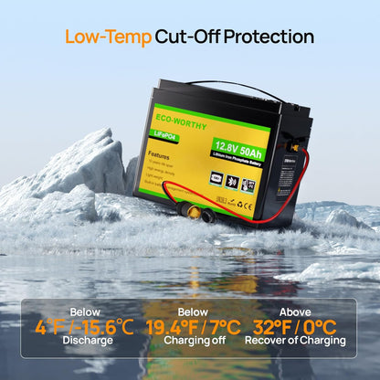 ECO-WORTHY LiFePO4 Battery 12V 50Ah Bluetooth BMS Low Temperature Protection and 4000-15000 Cycles 640Wh Lithium Battery for Rolling Motor, Boat - QUORE