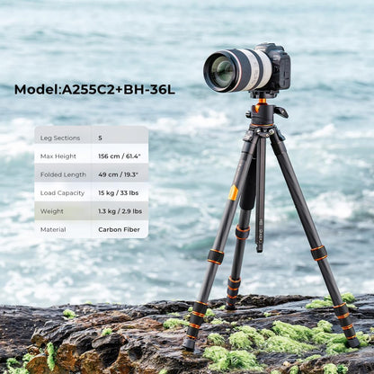 K&F Concept Koolstofvezel Camera Statief, Lichtgewicht Reisstatief met Monopod, Compact Fotografie Statief met 360° Balhoofd, Compatibel met DSLR Camera, Max. Belasting: 15KG (A255C2+BH-35L)