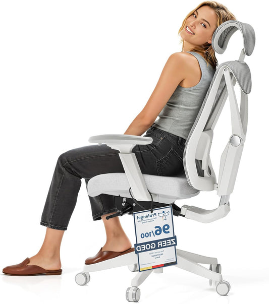 Desktronic Adjustable Ergonomic Office Chair, Office Chair with Lumbar Support, Back-Friendly, Computer Chair, Height Adjustable and Back-Friendly, Wide Upholstery, Grey - QUORE