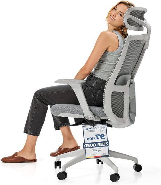 Desktronic SitOne Office Chair Adjustable Ergonomic Office Chair with Headrest, Armrests, Lumbar Support, Height Adjustment - Designed for European Body - Breathable Mesh - Spacious Seat (Grey) - QUORE
