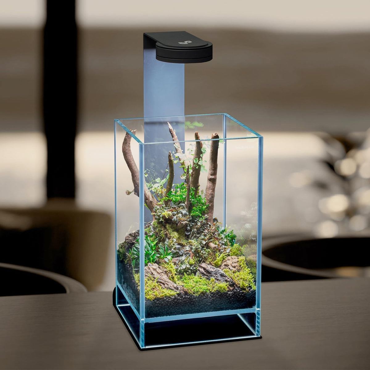 Terrarium van extra helder glas met geïntegreerde led, elegant design voor natuurlijke ecosystemen en watertuinen, afmetingen 15 x 15 x 25 cm (h x b x h)