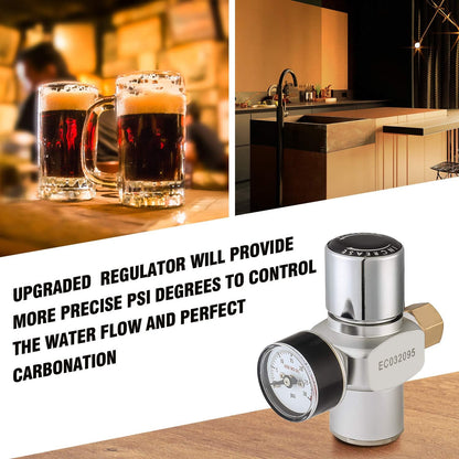 TMCRAFT 120 oz Dubbelwandige Mini Keg Growler, Drukgereguleerd Thuis Bierdispenser Systeem met Verwijderbare Tap en Regulator, Houdt Versheid en Koolzuur voor Craft Beer Draft/Homebrew
