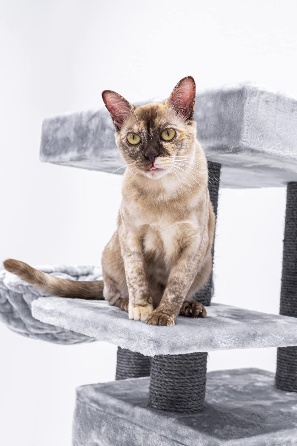 Kattenkrabpaal – Krabpaal – Krabboom – Kattenmeubel – Krabmeubel – Grijs – 134 cm Hoog – Dikke Ø 9 cm Sisalstammen