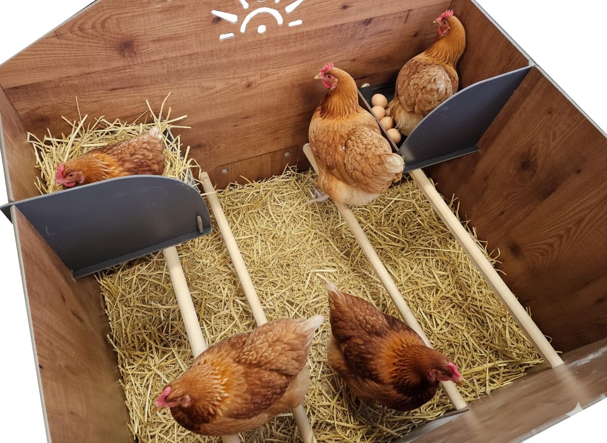 Chicken coop for 12 laying hens with 4 perches, 2 raised nests, POLLY FARM 2XL made of HPL laminate, roundworm-proof, red - QUORE