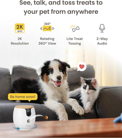 Furbo Mini 360° NIEUWE Pet Camera: Home Security Camera w/Barking/Meowing Alerts, Rotating Pet Treat Dispenser w/Phone App, Smart Indoor Cam with 2-Way Speaker & Night Vision (Geen abonnement vereist)