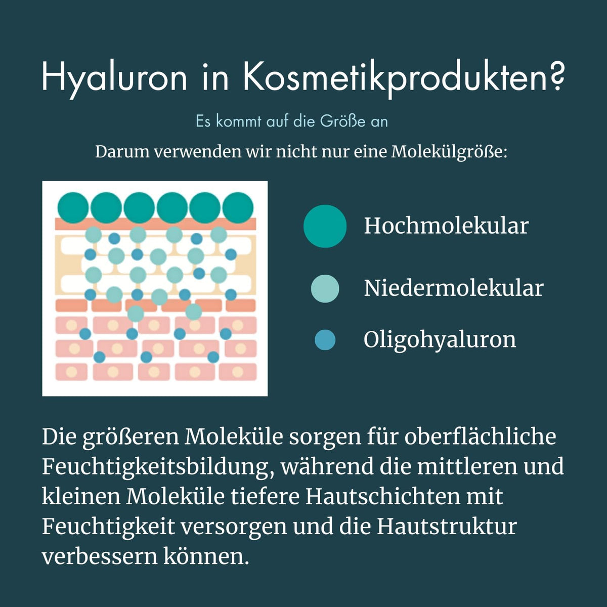 Hyaluron Serum – Gezichtsserum – Hydraterend Serum – Anti-Aging Serum – Vochtserum – 50 Ml – Multimoleculair Hyaluroncomplex – Vegan En Dierproefvrij