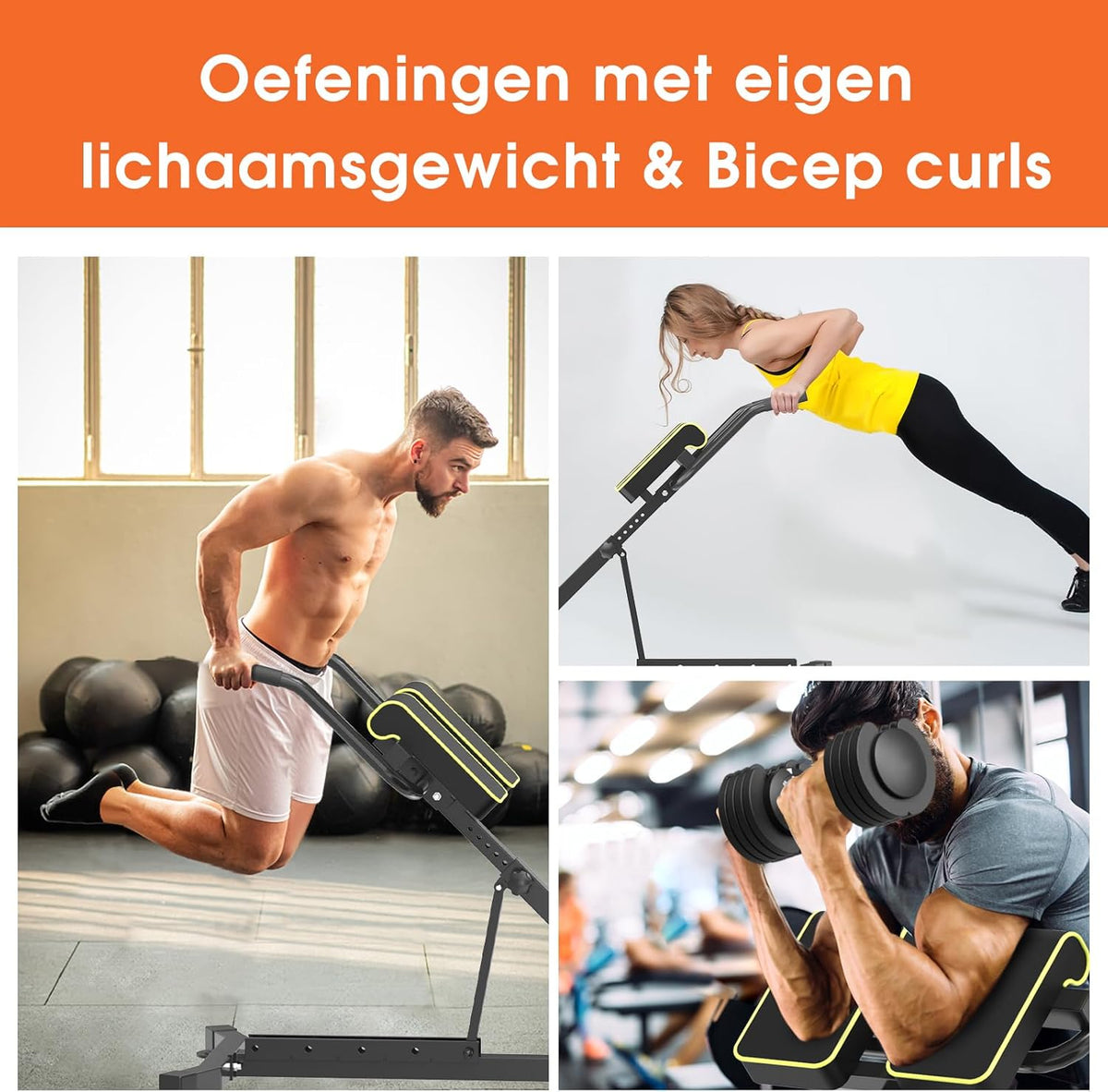 DH FitLife 5in1 Rugstrekker voor thuis | Buikspiertrainer & Rugtrainer | Hyperextension Bank | Vouwbare Verstelbare Roman Chair tot 150KG | Multifunctionele Curlbank en Halterbank