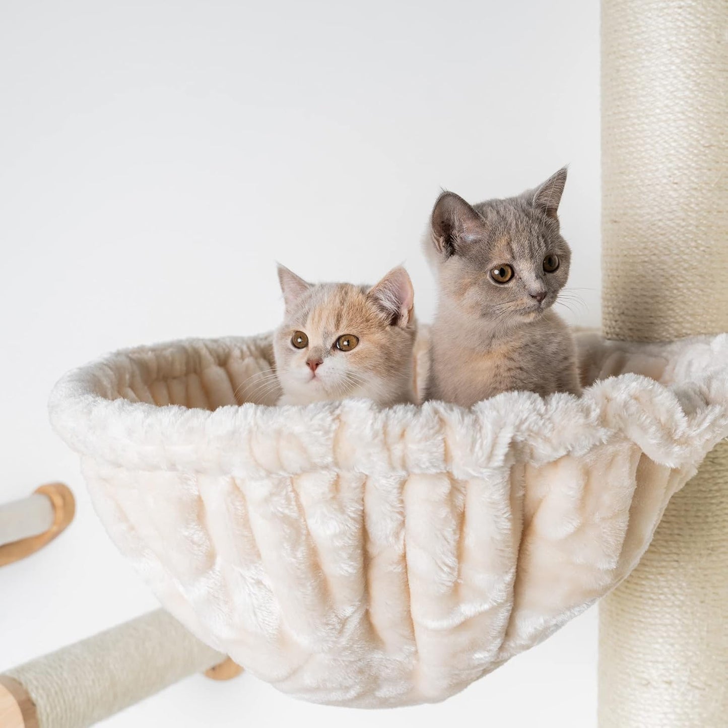 Krabpaal – Krabboom – Kattenmeubel – Klimpaal – De Luxe – Extra Stevige 20 cm Sisalstammen – Royale Hoogte 158 cm – Crème Kleur