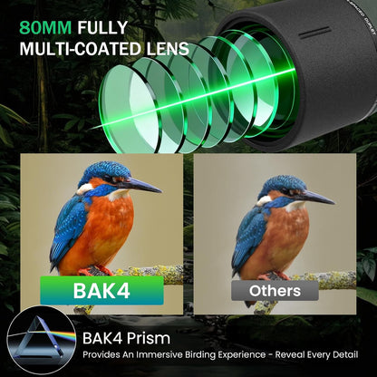 BIBIRE HD-langzichten voor schieten op doel, hoekuitzicht 25-75 x 80 cm, met statief en adapter voor telefoon met lang zicht voor vogelobservatie, wilde dieren en jacht