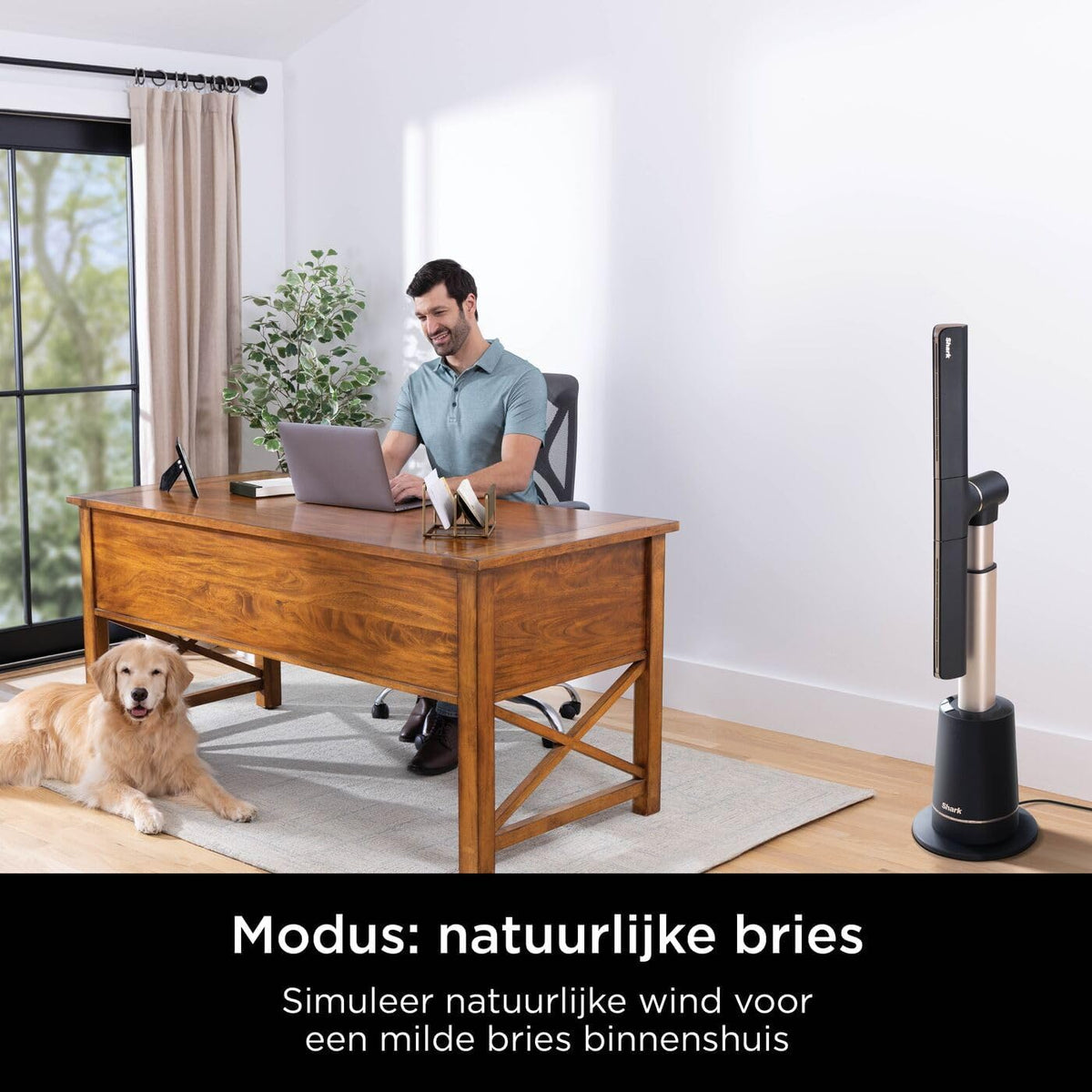 Shark TurboBlade Bladeless Tower Fan, hoge snelheid in meerdere richtingen, projecteert lucht tot 20 meter, stil, 10 snelheden, draaien, 180° oscillatie, afstandsbediening, timer, Houtskool TF200SEU