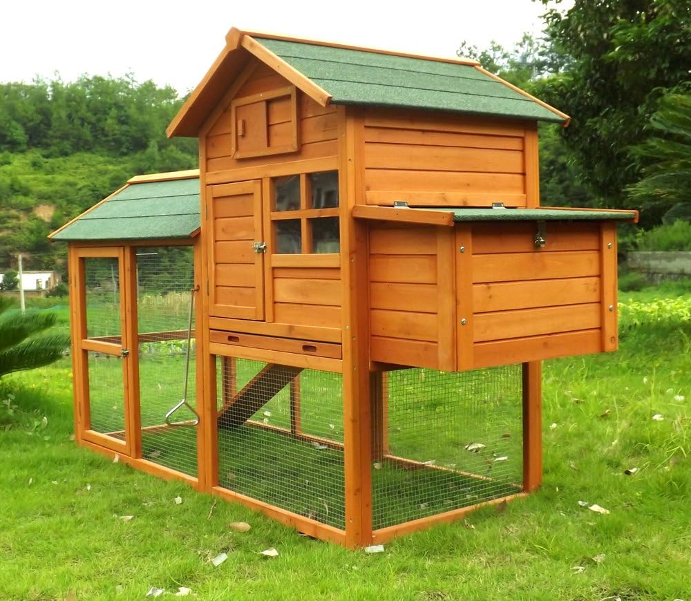 Chicken Coop Chicken Coop No. 06 "Collosus with fence, pull-out bath & storage box - QUORE