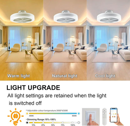 LED plafondlamp met ventilator timer Rustige moderne RGB plafondventilator met verlichting en afstandsbediening &APP, dimbare Bluetooth muziek LED plafondlamp voor slaapkamer woonkamer