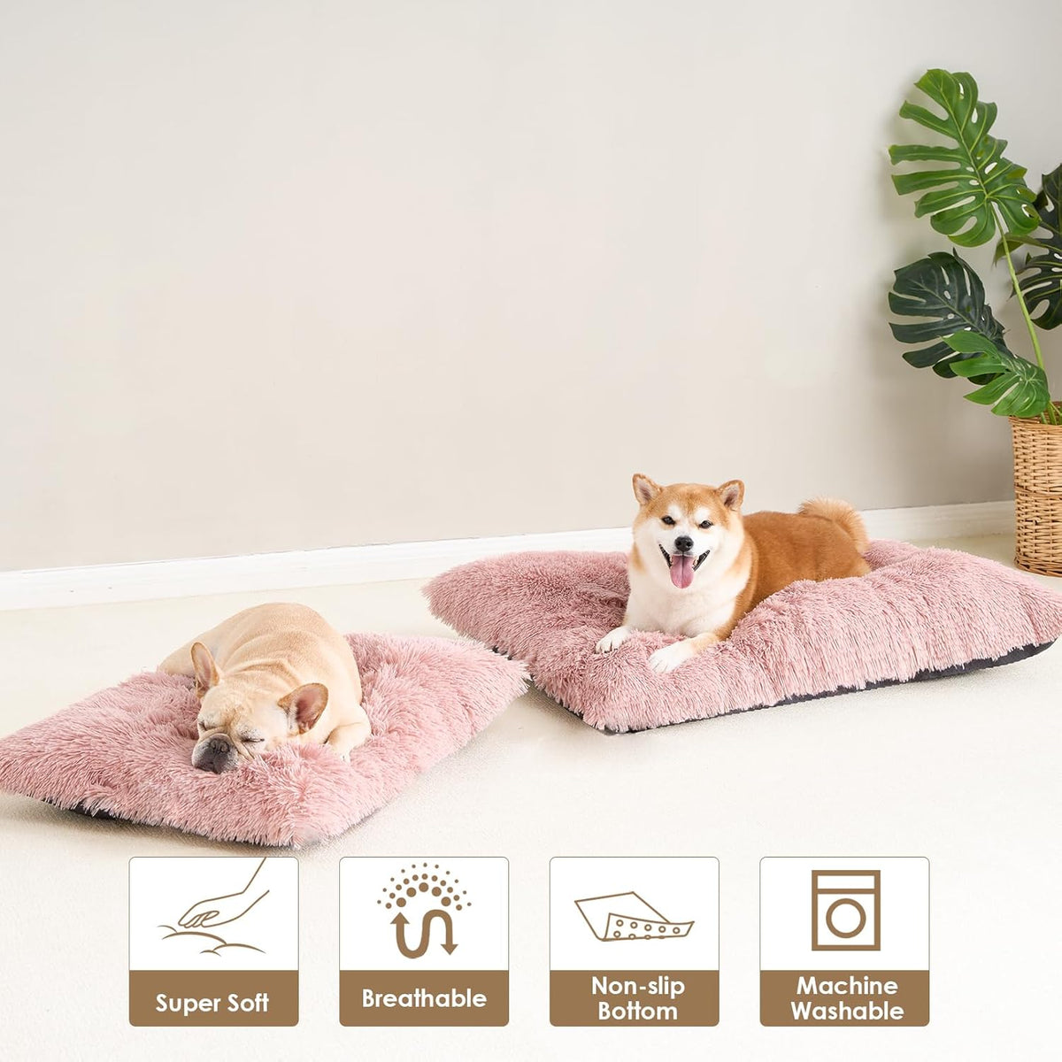 Hondenbed – Hondenkussen – Hondenmand – Huisdierenbed – XL Hondenmat – Extra Groot 105x70 cm – Zacht Pluche – Anti-Slip & Wasbaar