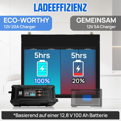Li-ion Accu – Lithium Batterij – LiFePO4 Accu – 12V 100Ah Accu – Accu Met Oplader – Bluetooth Monitor – Laag Temperatuurbescherming