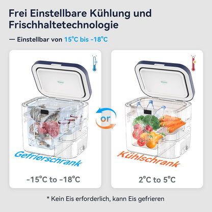 BINGI Compressor-koelbox, 22 l, mini-draagbare elektrische koelkast, 12/24 V DC, elektrische vriezer, draagbare vriezer voor auto, vrachtwagen, picknick, camping en thuisgebruik