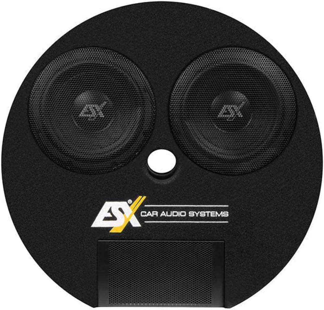 ESX DBX800Q | 2 x 20 cm (8') Dual Bassreflex-systeem voor de reserveradmulde | Subwoofer - BASS