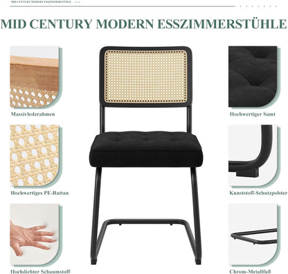 COLAMY Rotan eettafelstoelen, set van 2, fluwelen bekleding met metalen frame, zwart