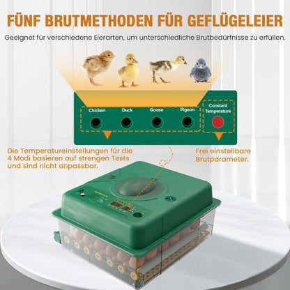Broedmachine, volautomatisch, 36 eieren, incubator met 5 automatische broedmodi, broedmachine met temperatuurregeling, vochtweergave en eierverlichting, voor kippen, eenden, ganzen en