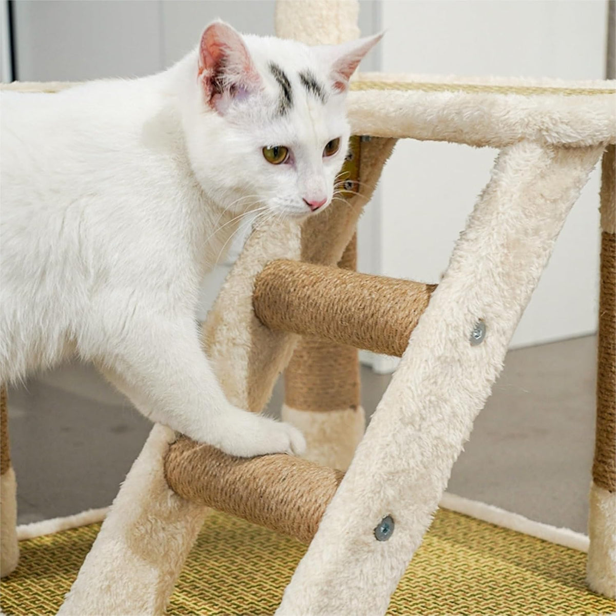 Kattenboom – Kleine Kattenboom – Krabpaal – Kattentoren – Kattenspeelmeubel – Compact en Stevig Ontwerp – Pluche Bekleding met Sisaltouw