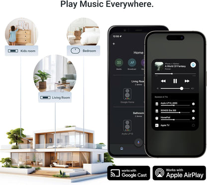 Arylic LP10 draadloze streamer, ondersteunt AirPlay 2, Google Cast, Apple Home, Spotify en Tidal, 5G WiFi en Bluetooth, voorversterker