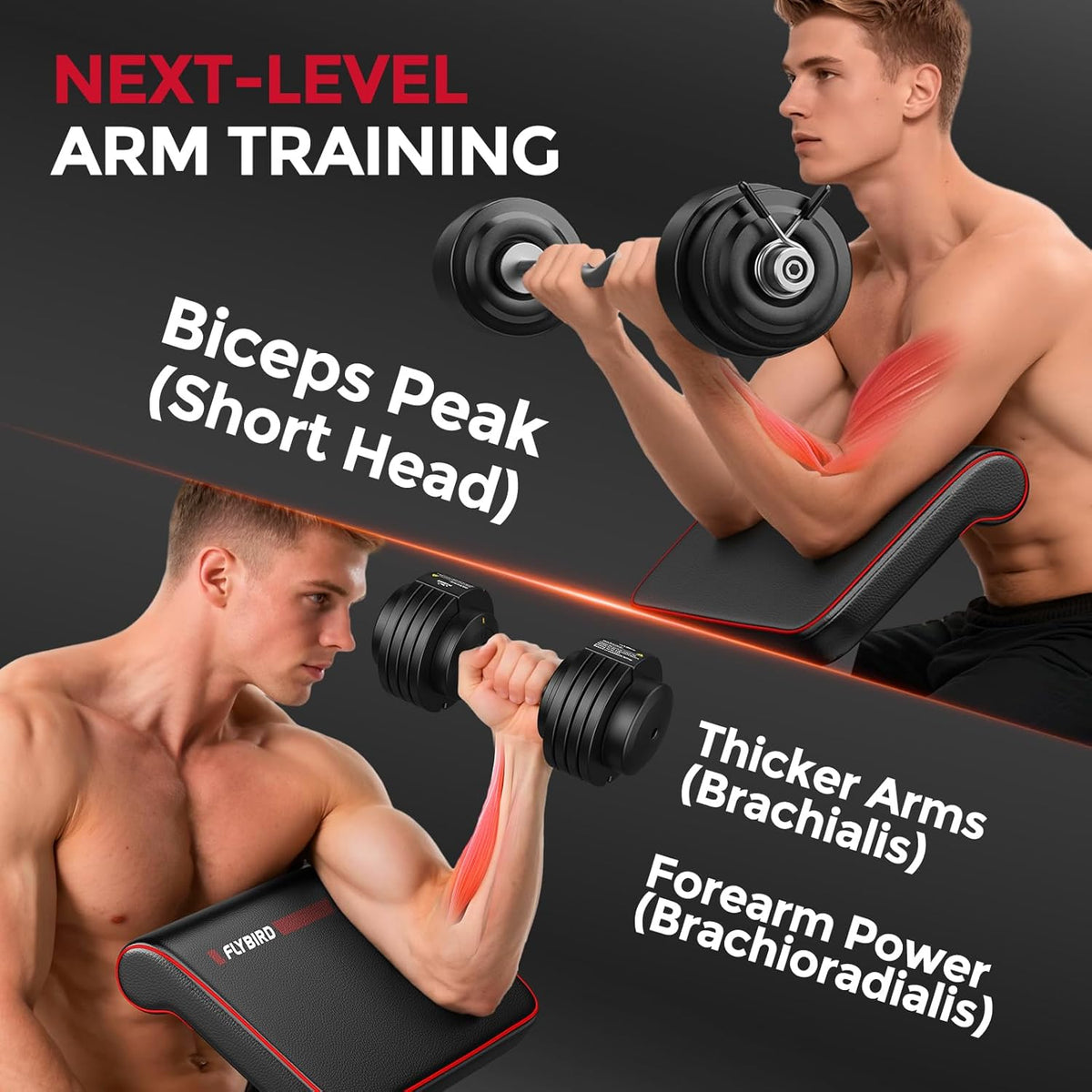 FLYBIRD Multifunctionele Gewichtbank, Krachtraining voor Huisgym, Eenvoudig Opklapbaar & Instelbaar, 360KG Capaciteit met Bicepcurlsteun / 544KG Zware Gewichtbank