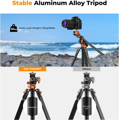 Camerastatief – Fotostatief – Videostatief – Reisstatief – Statief Met Monopod – 231 Cm Hoog – Hydraulische Kop