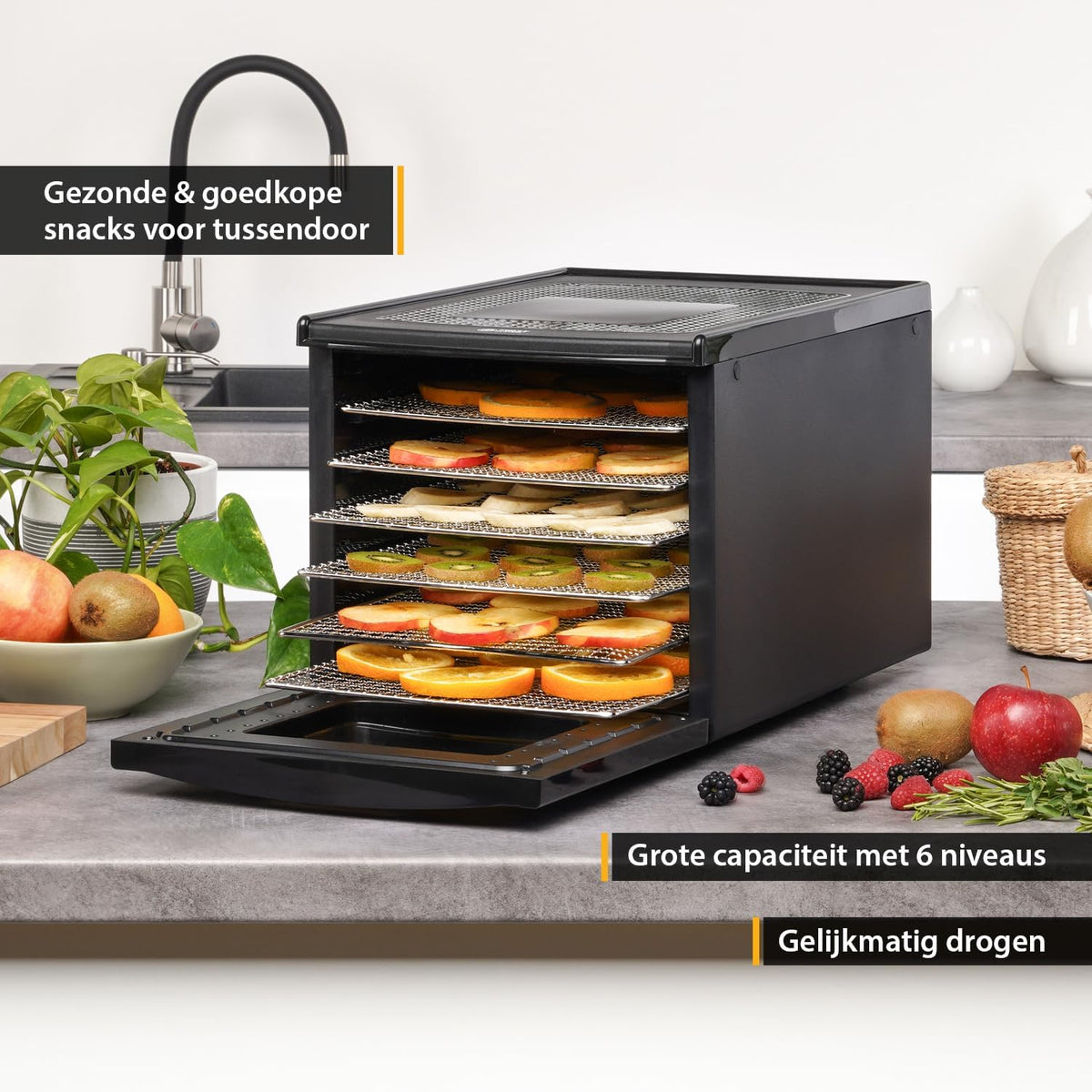 TZS First Austria Dehydrator - Dehydrator voor fruit, groenten en vlees - Digitaal met timer en temperatuurregeling 35-70°C - 6 roestvrijstalen niveaus, dehydrator met timer