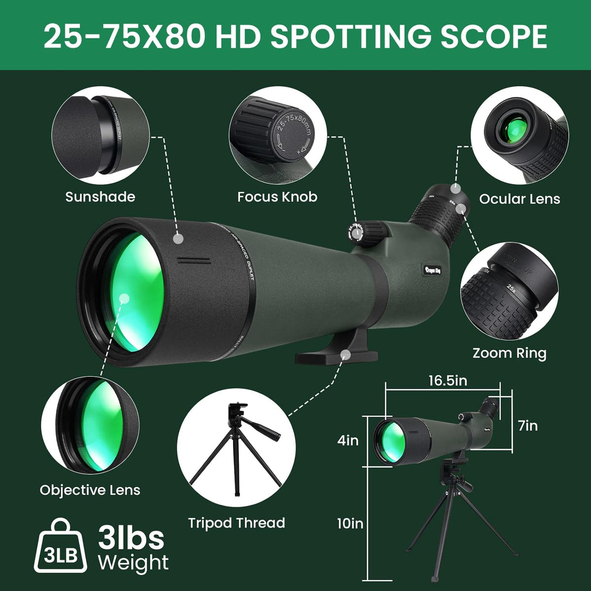 BIBIRE HD-langzichten voor schieten op doel, hoekuitzicht 25-75 x 80 cm, met statief en adapter voor telefoon met lang zicht voor vogelobservatie, wilde dieren en jacht