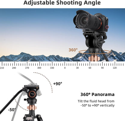 Cayer Aluminium videostatief, 75 inch, 4-delig, vloeistofkop, 6 kg draagvermogen, zilver, DSLR-camera, camcorder