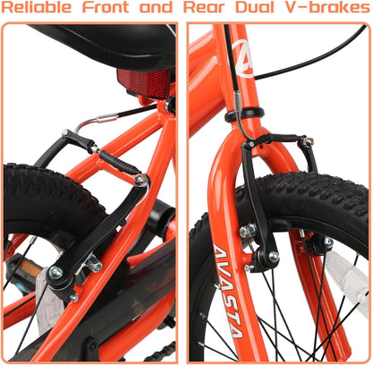 AVASTA 18 inch fiets BAG1006YS18or