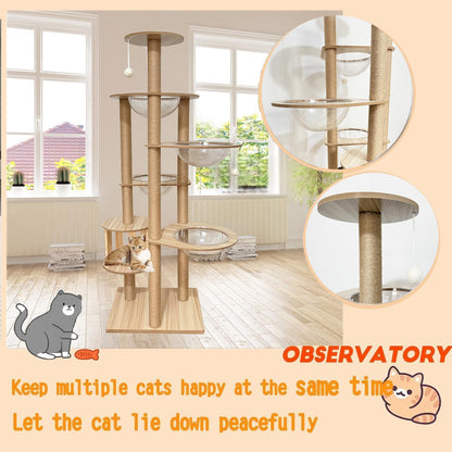 Mdpetpops Kattenkrabpaal, 183 cm, groot, met 4 capsules, jute krabzuil, ladder, hol, kattenspeelgoed, kattenkrabpaal. (houtkleur YN-105)